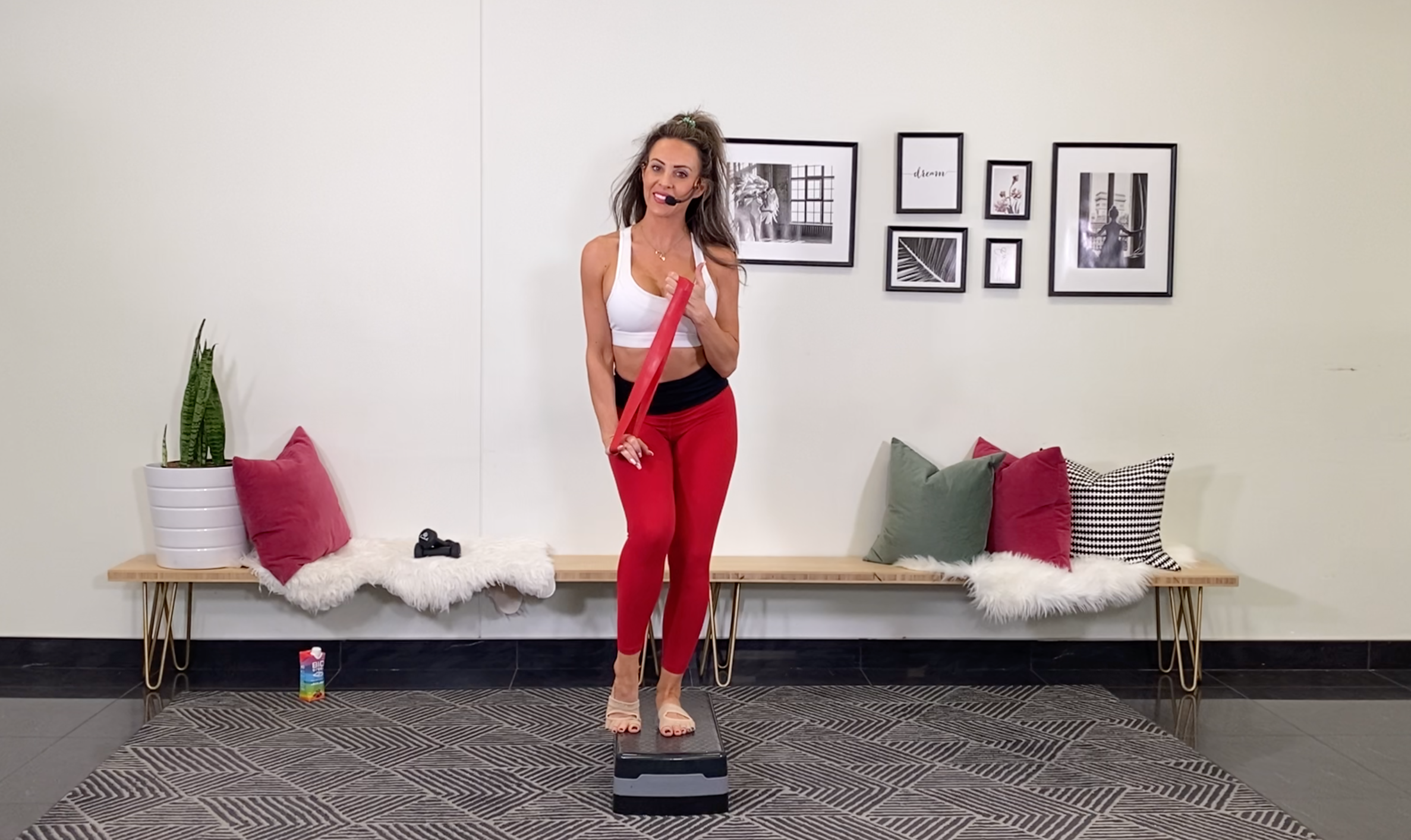 Holiday Edition Express X | Michelle