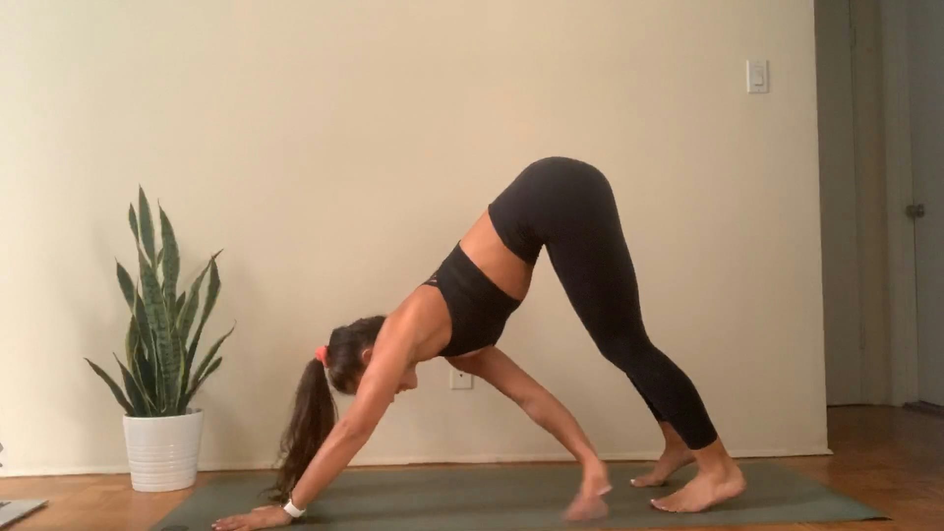 09/16 Live Yoga with Hailey Perry